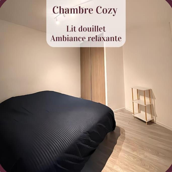 Appartement 2 Pieces Rdc En Duplex Vue Cour Parking Gratuit A 20Metres Roanne Zewnętrze zdjęcie